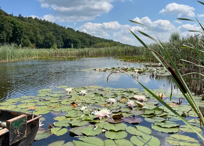 Domek alpejski De Diepen